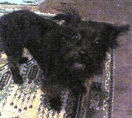 [GetAttachmentCAR5OD5E.jpg]