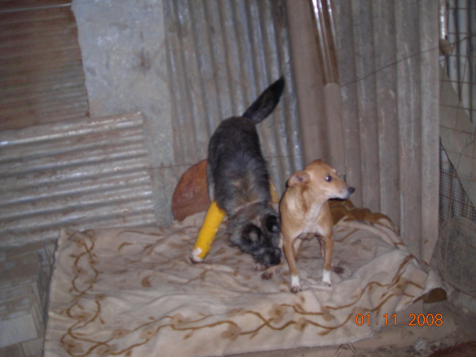 [DSCN8463.JPG]