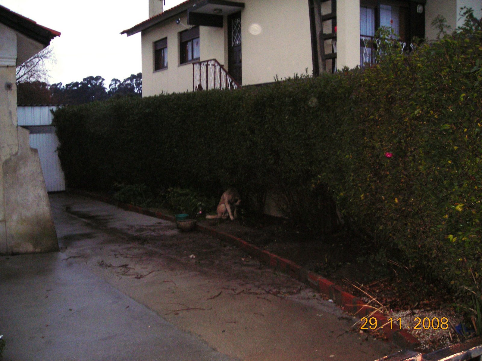 [DSCN8769.JPG]