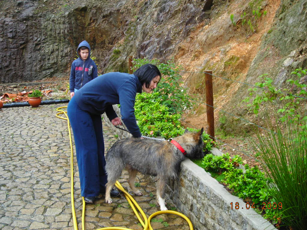[DSCN1516.JPG]