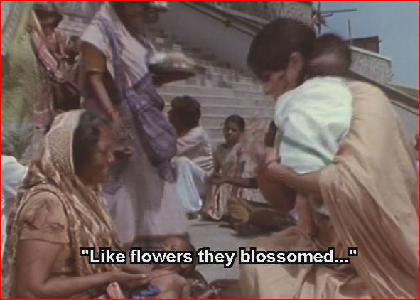 [Capture2.JPG]