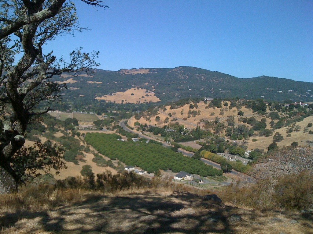 [bm-image-727757.jpe]