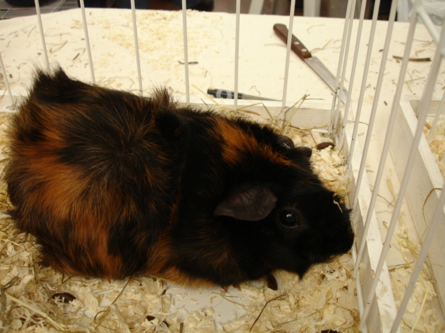 [DSC09424.JPG]