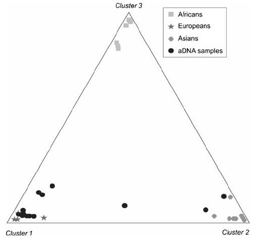 [triangular_siberian_pigmentation.jpg]