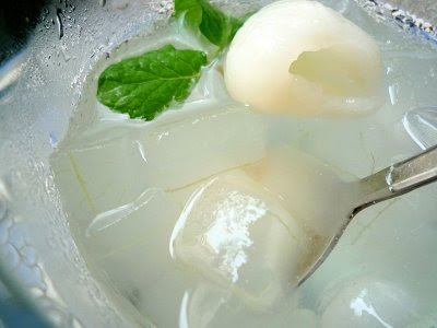 Little Joy How To Aloe Vera Dessert