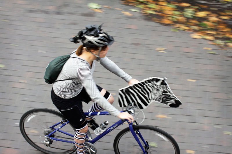 Fresh eyes on London Zebra on Wheels