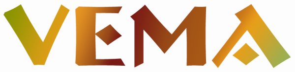 VEMA INFORMATICA