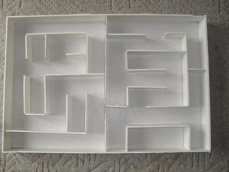 celyn and sarah's science project Musical Mouse Maze