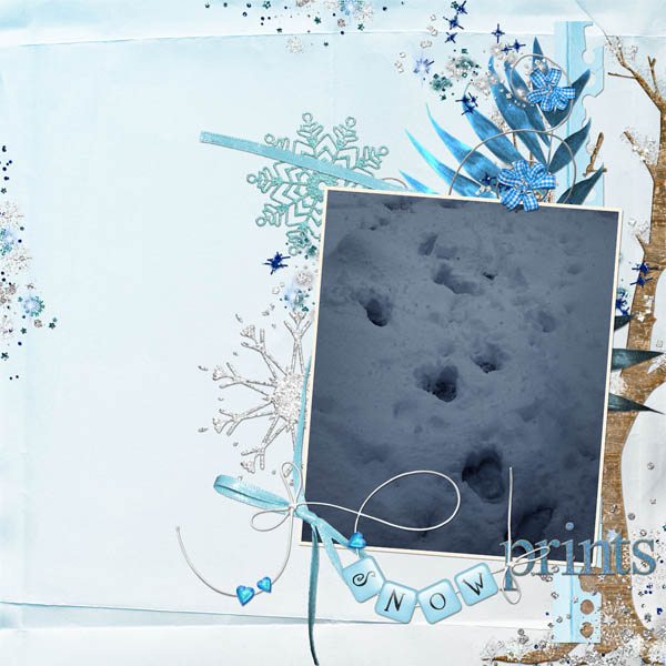 [dcorbitt_snowprints_web.jpg]
