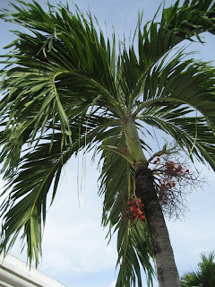 Keanekaragaman Tingkat Ekosistem