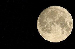 [cheese+moon.jpg]