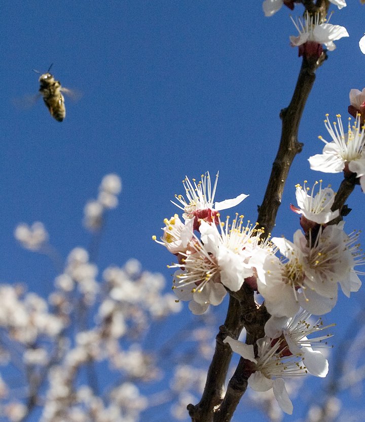 [Spring-09_0921w.jpg]