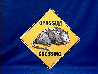 [opossum_crossing_sign_2.jpg]