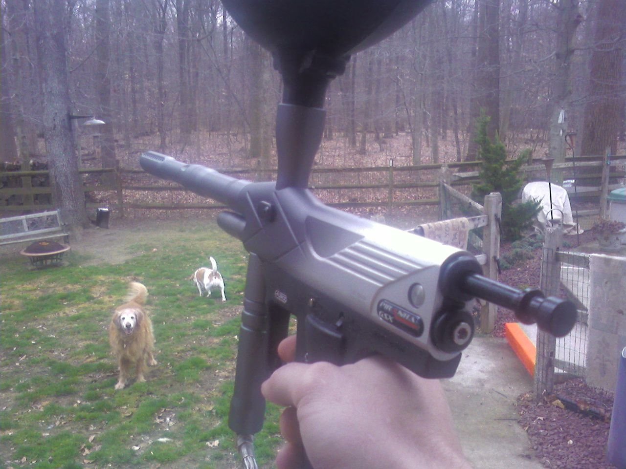 [Paintball+Squirrels.JPG]