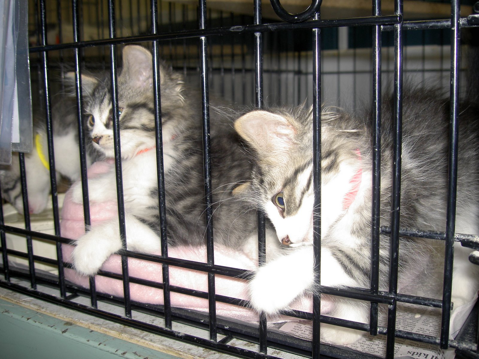 [PICT8726.JPG]