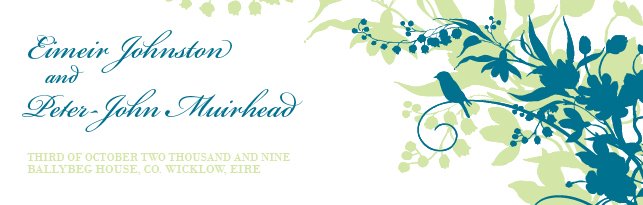 Wicklow Wedding 2009