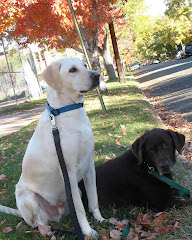 Carl & Bailey (RIP)