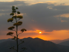 Atardecer en San Joaquín