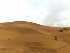 Medanos de Coro