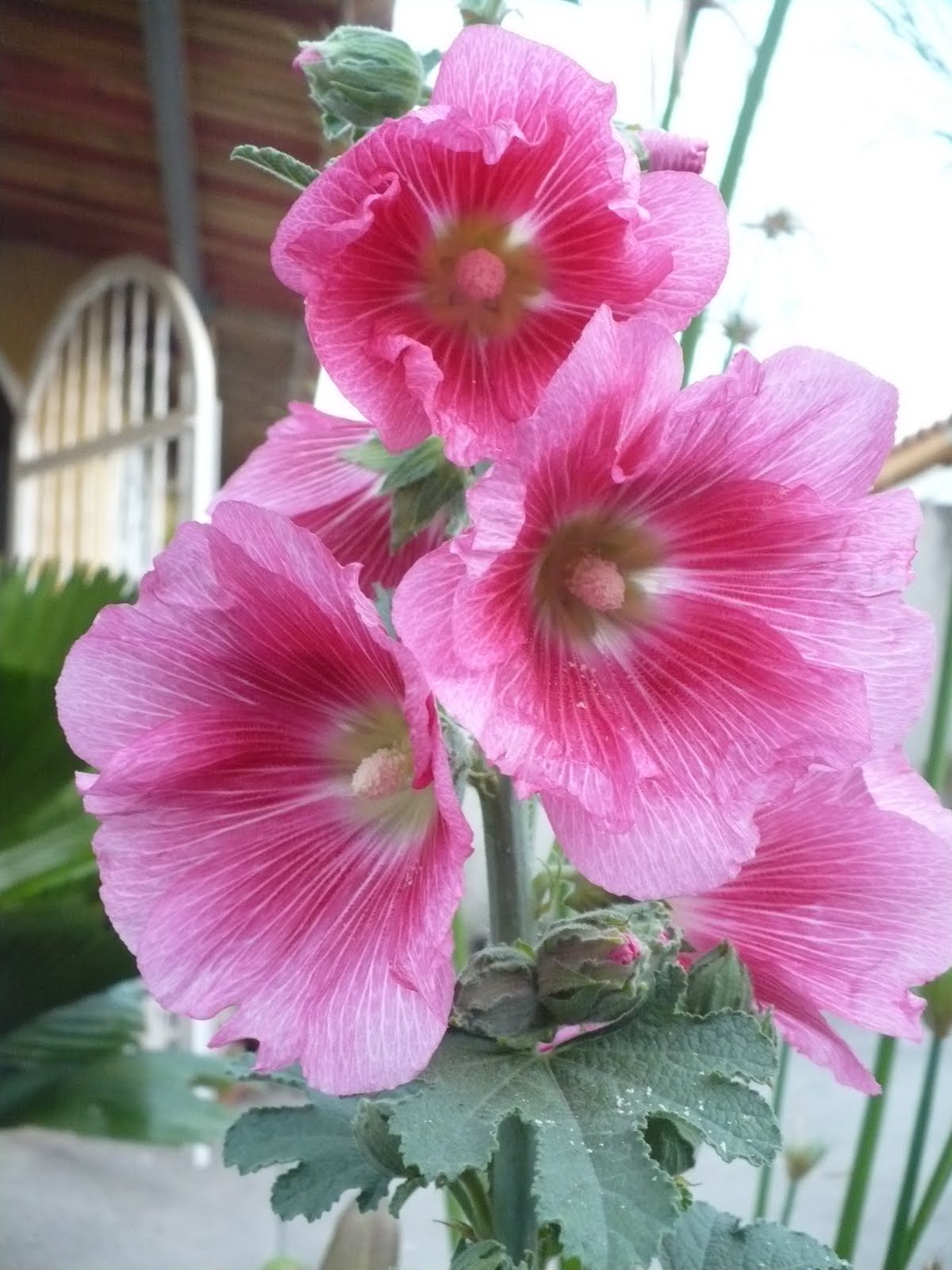 [P1080613.JPG]