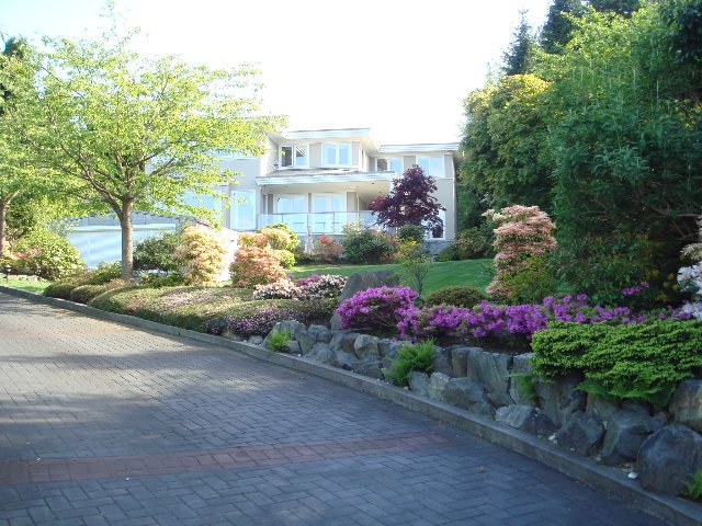 [DSC07929.JPG]