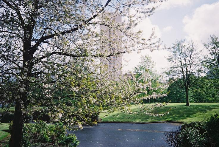 [CNV00013.JPG]