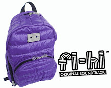 FI-HI Speakerbags