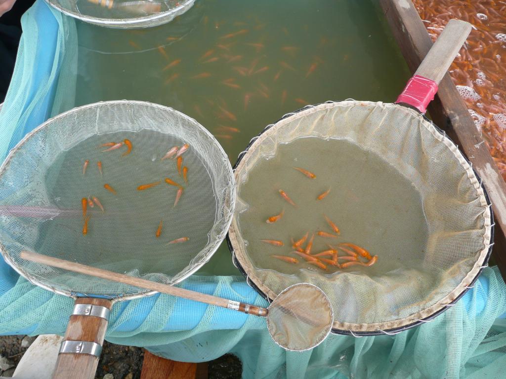 [P1020133.jpg]