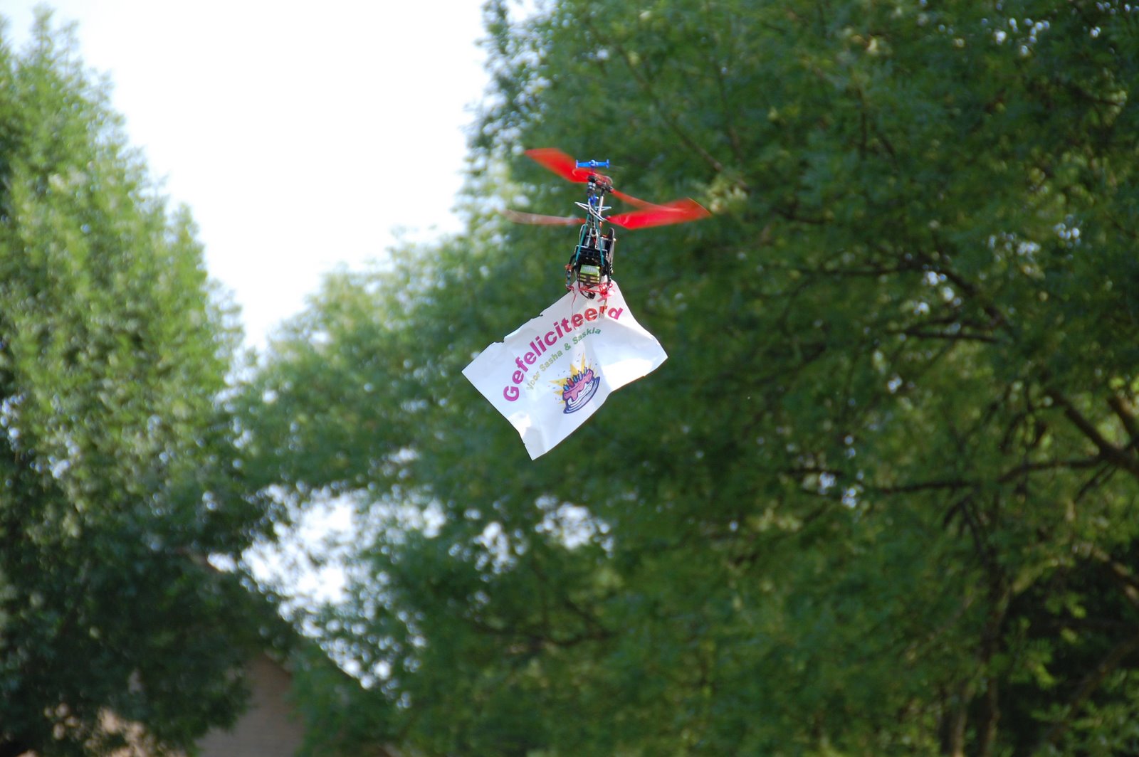 [20090703+045.jpg]