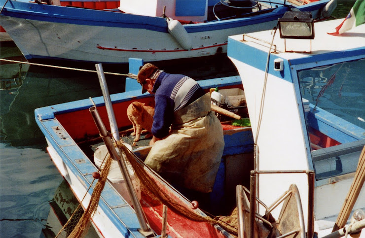Westsizilien, Fischer im Hafen von Castellammare del Golfo