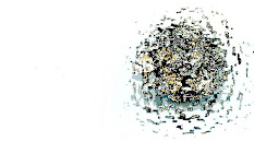 aniquilando recuerdos