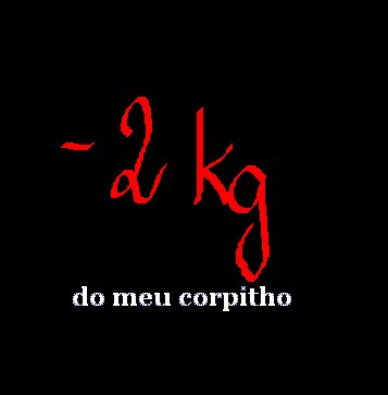 [2kg.bmp]