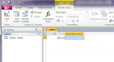 Office 2010 Access 2010 Database Ii