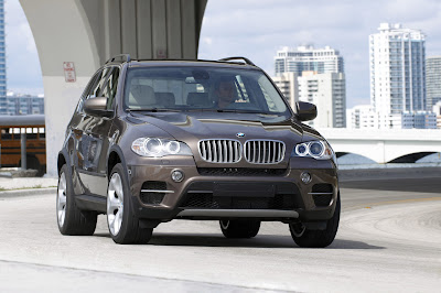 2011 BMW X5 Picture