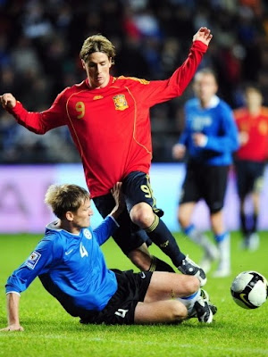 Fernando Torres World Cup 2010 Photo