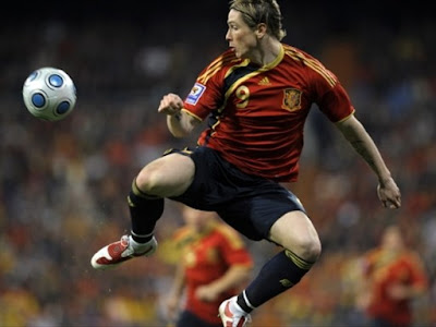 Fernando Torres World Cup 2010 Action