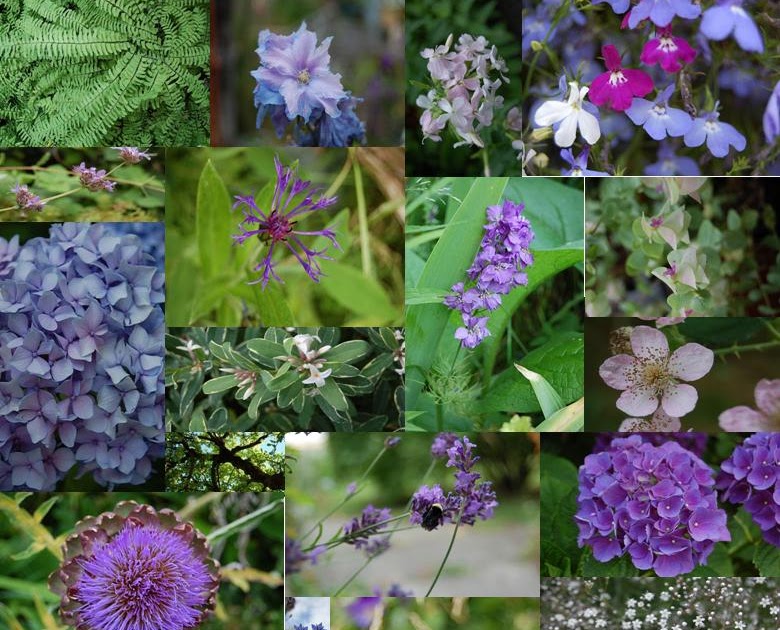 AKUA HEALING ARTS A collage of flowers from my garden.