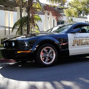 Ford Mustang GT Cop car in