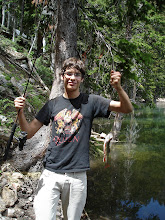 Brennen in Uintas