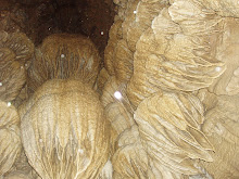 inside of cave