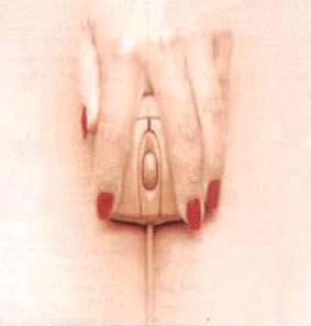 [mouse_or_pussy.jpg]