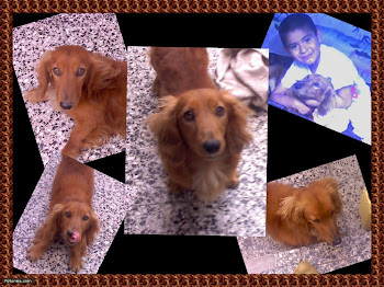 Mi perrito :D