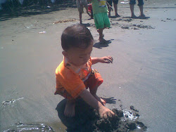 Nafis