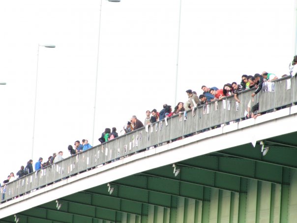 عکس : از زنجیره ‎ی انسانی بر رود راین در کلن شنبه 3 مرداد