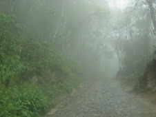 CAMINO LA GUESTIA