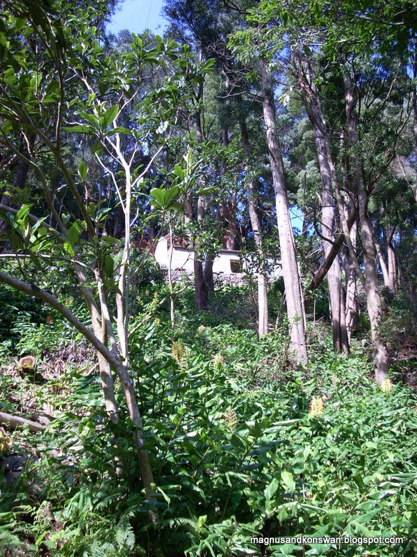 [DSCN0048.JPG]