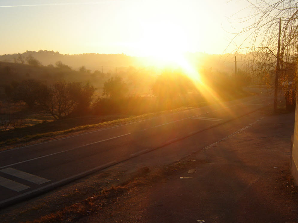 [29-12-2007++DSC00133.JPG]