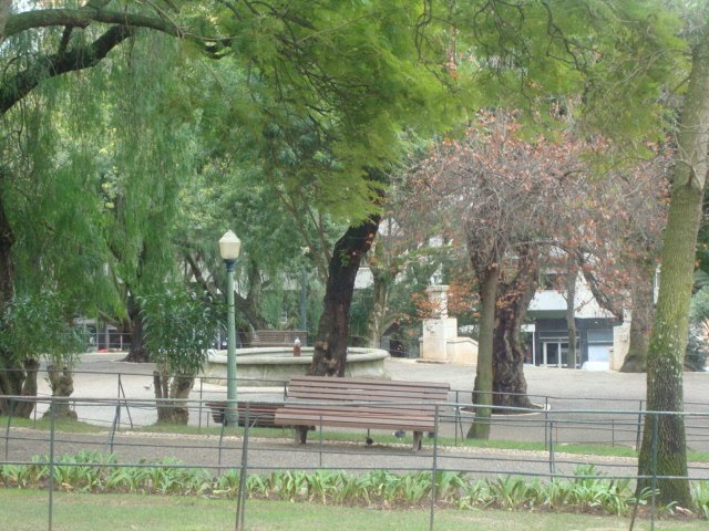 [DSC07162.JPG]