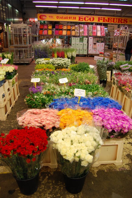 [DSC_0113.JPG]
