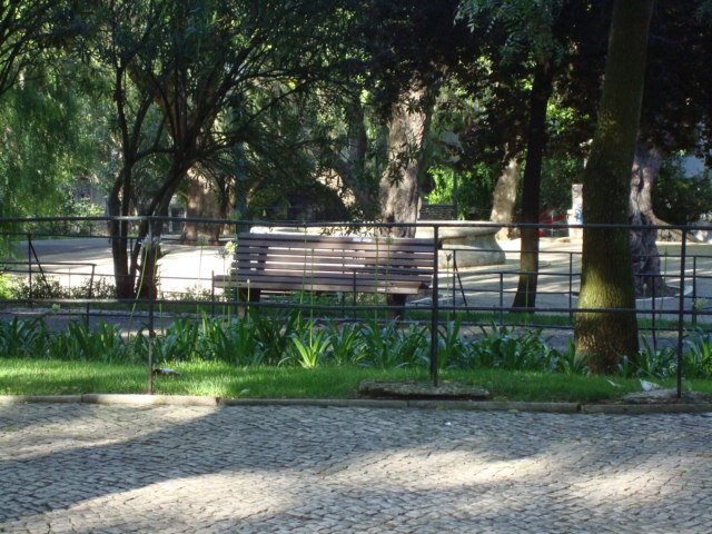 [DSC03884.JPG]